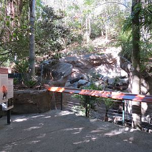 Asian Passage - Sun Bear Forest - Bornean Sun Bear Exhibit