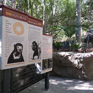 Asian Passage - Sun Bear Forest - Bornean Sun Bear Exhibit