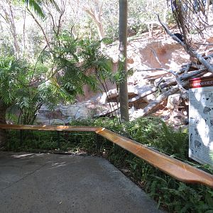 Asian Passage - Sun Bear Forest - Bornean Sun Bear Exhibit