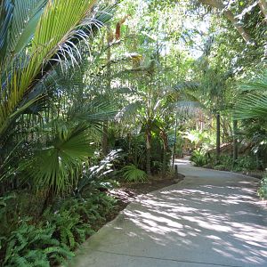 Asian Passage - Sun Bear Forest - Path