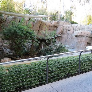 Asian Passage - Bornean Sun Bear and Andean Bear Rotational Exhibit 1