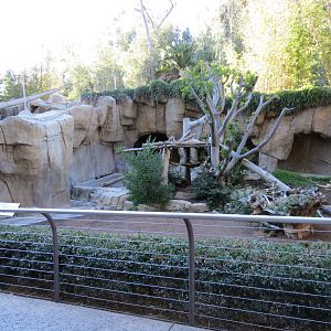 Asian Passage - Bornean Sun Bear and Andean Bear Rotational Exhibit 2