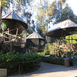 Asian Passage - Four Monkey Exhibits