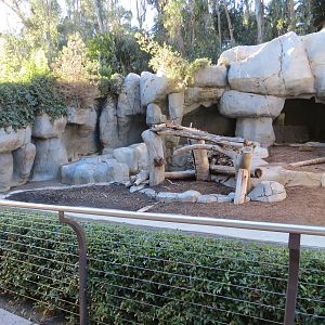 Asian Passage - Grizzly Bear Exhibit 1