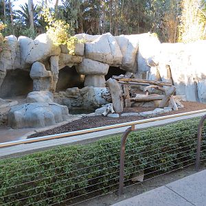 Asian Passage - Grizzly Bear Exhibit 1