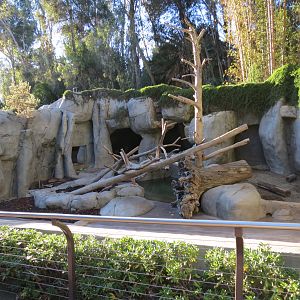 Asian Passage - Grizzly Bear Exhibit 2