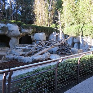 Asian Passage - Grizzly Bear Exhibit 2