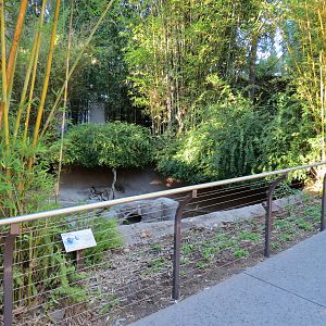Asian Passage - Pacific Otter Exhibit