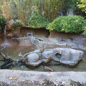 Asian Passage - Pacific Otter Exhibit