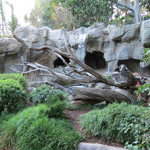 Asian Passage - Andean Bear Exhibit