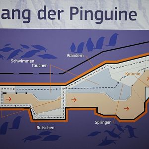 Plan of the Penguin enclosure