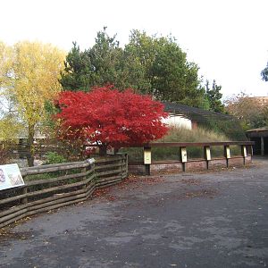 View towards the Red-billed Currasow Aviary