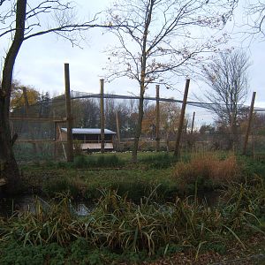 View of the new Weird and Wonderfull Aviary