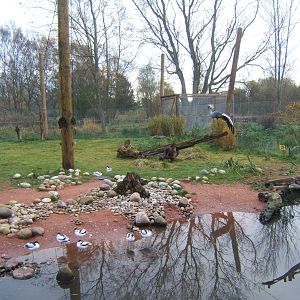 View of the new Weird and Wonderfull Aviary