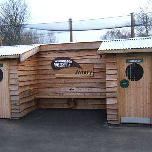 View of the new Weird and Wonderfull Aviary