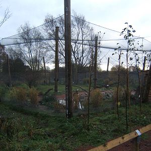 View of the new Weird and Wonderfull Aviary