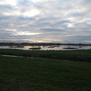 View of the reserve