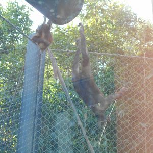 Upside down and all around.