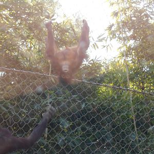 It's an upside down world.