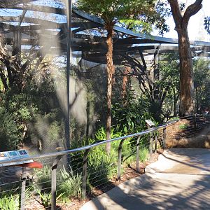Outback - Aviary 1