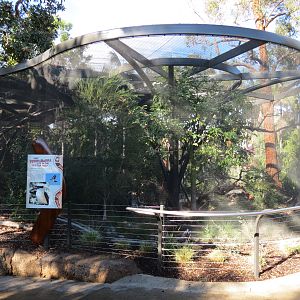 Outback - Aviary 2