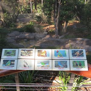 Outback -Aviary 1 - Sign