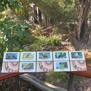 Outback - Aviary 3 - Sign