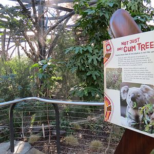 Outback - Aviary 3 - Sign