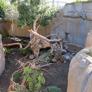 Outback - Tasmanian Devil Exhibit 1