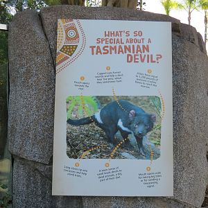 Outback -Tasmanian Devil Exhibit 2 - Sign