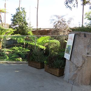 Outback - Tasmanian Devil Exhibit 2