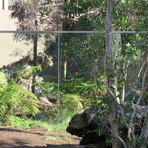 Outback - Tasmanian Devil Exhibit 3