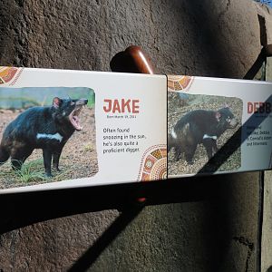 Outback - Tasmanian Devil Exhibits 2 and 3 - Signs