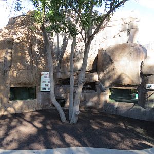 Outback - Tasmanian Devil Dens