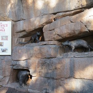 Outback - Marsupial Sculptures