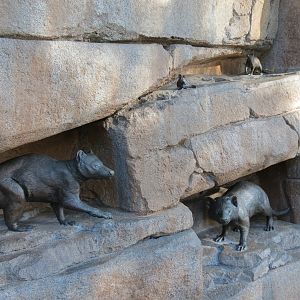 Outback - Marsupial Sculptures