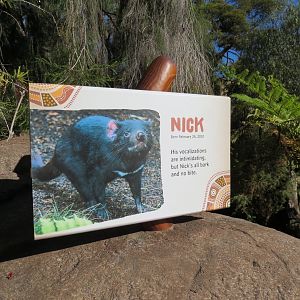 Outback - Tasmanian Devil Exhibit 4 - Sign