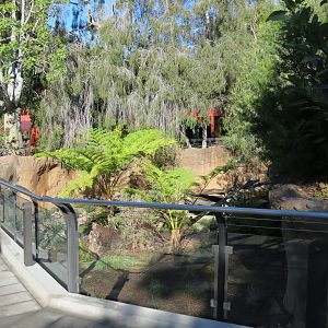 Outback - Tasmanian Devil Exhibit 4