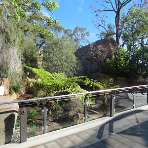 Outback - Tasmanian Devil Exhibit 4