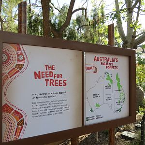 Outback - Interpretive Forest Sign