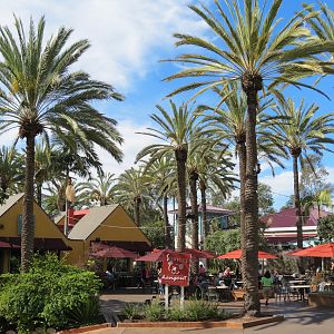 Outback - Sydneys Grille