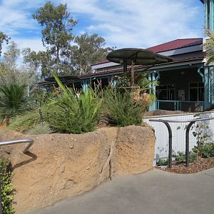 Outback - Koala Exhibits for Male Koalas