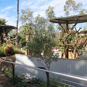 Outback - Koala Exhibits for Male Koalas
