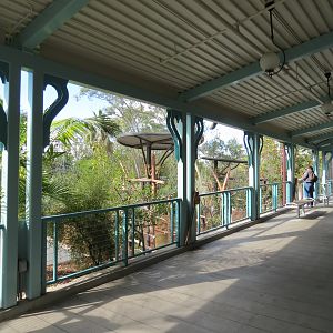 Outback - Koala Exhibits for Male Koalas