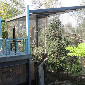 Outback - Aviary