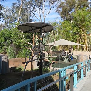 Outback - Koala Exhibit