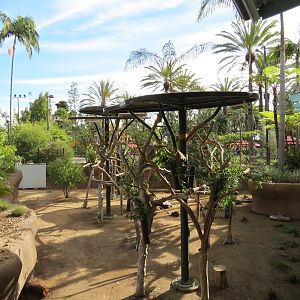 Outback - Koala Exhibits for Female Koalas