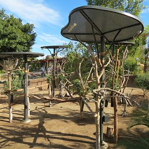 Outback - Koala Exhibits for Female Koalas