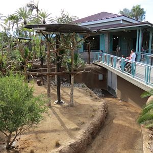 Outback - Koala Exhibits for Female Koalas
