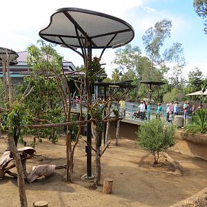 Outback - Koala Exhibits for Female Koalas
